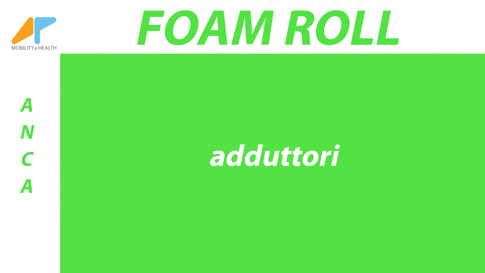 foam roll adduttori Alessandro Paoluzzi Fisioterapista Ud